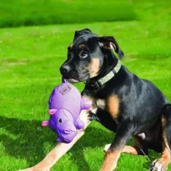 Clearance Phatz Pig M 18x11x11 cm - robust gris bamse til hunde Hundelegetøj Til Alle Hunde Leg Og Aktivering Året Rundt|Legetøj Til Hvalpe - Sjov Leg, Aktivering Og Tryghed Fra Første Dag