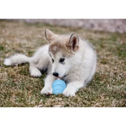 Puppy XSmall - ekstra lille hvalpelegetøj Hundelegetøj Til Alle Hunde Leg Og Aktivering Året Rundt|Legetøj Til Hvalpe - Sjov Leg, Aktivering Og Tryghed Fra Første Dag