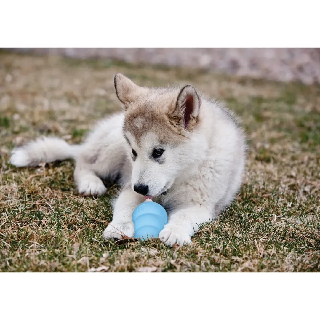 Puppy XSmall - ekstra lille hvalpelegetøj Hundelegetøj Til Alle Hunde Leg Og Aktivering Året Rundt|Legetøj Til Hvalpe - Sjov Leg, Aktivering Og Tryghed Fra Første Dag