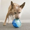 Sale Reward Ball Large 12 cm - snacklegetøj til hunde Hundelegetøj Til Alle Hunde Leg Og Aktivering Året Rundt|Legetøj Til Hvalpe - Sjov Leg, Aktivering Og Tryghed Fra Første Dag