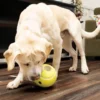 Clearance Reward Tennis Gul Small 8 cm - aktiveringslegetøj til hunde Hundelegetøj Til Alle Hunde Leg Og Aktivering Året Rundt|Legetøj Til Hvalpe - Sjov Leg, Aktivering Og Tryghed Fra Første Dag