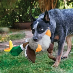 Outlet Shakers Honkers And hundelegetøj S - Let rysteleg og blød tyggeglæde Hundelegetøj Til Alle Hunde Leg Og Aktivering Året Rundt|Legetøj Til Hvalpe - Sjov Leg, Aktivering Og Tryghed Fra Første Dag