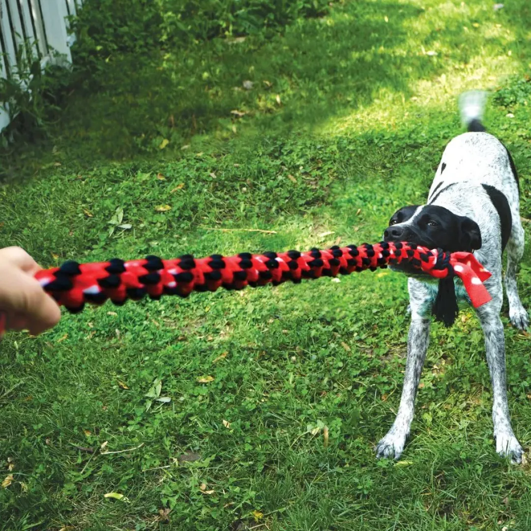 Best Signature Reb Dobbelt Ring 23 cm Flerfarvet - hundelegetøj Hundelegetøj Til Alle Hunde Leg Og Aktivering Året Rundt|Legetøj Til Hvalpe - Sjov Leg, Aktivering Og Tryghed Fra Første Dag