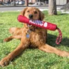 Signature Stick med reb - holdbart kastelegetøj Hundelegetøj Til Alle Hunde Leg Og Aktivering Året Rundt|Legetøj Til Hvalpe - Sjov Leg, Aktivering Og Tryghed Fra Første Dag