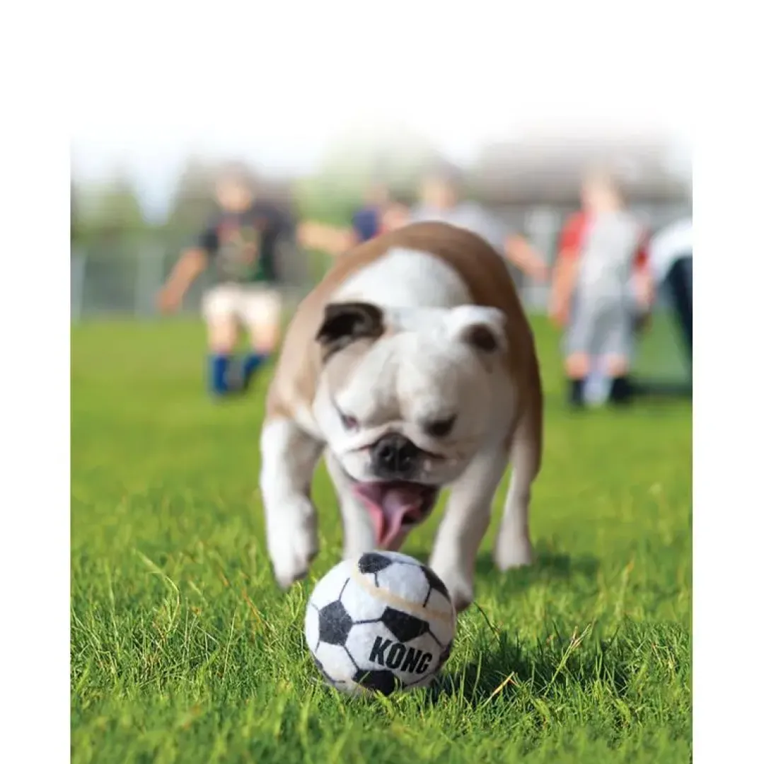Discount Sport Apportbolde XSmall 3-pak - sjove bolde til små hunde Hundelegetøj Til Alle Hunde Leg Og Aktivering Året Rundt|Legetøj Til Hvalpe - Sjov Leg, Aktivering Og Tryghed Fra Første Dag