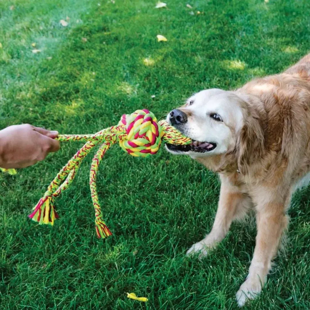 Online Wubba Weaves L 38 cm Mix - hundelegetøj Hundelegetøj Til Alle Hunde Leg Og Aktivering Året Rundt|Legetøj Til Hvalpe - Sjov Leg, Aktivering Og Tryghed Fra Første Dag