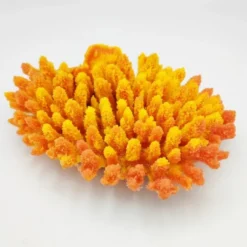 Sale Kunstig koral Acropora millepora (Yellow/Pink) Dekoration Til Saltvand