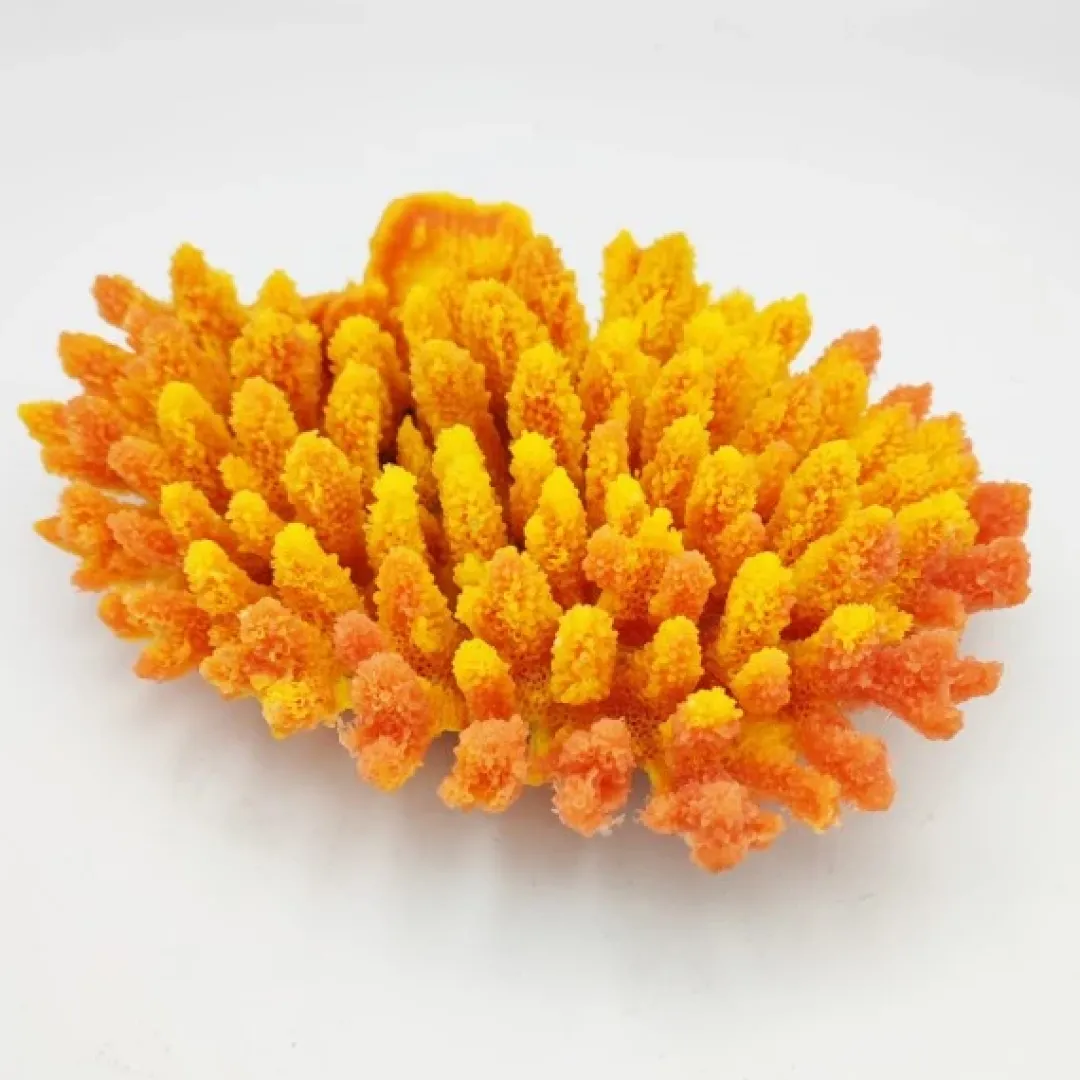 Sale Kunstig koral Acropora millepora (Yellow/Pink) Dekoration Til Saltvand