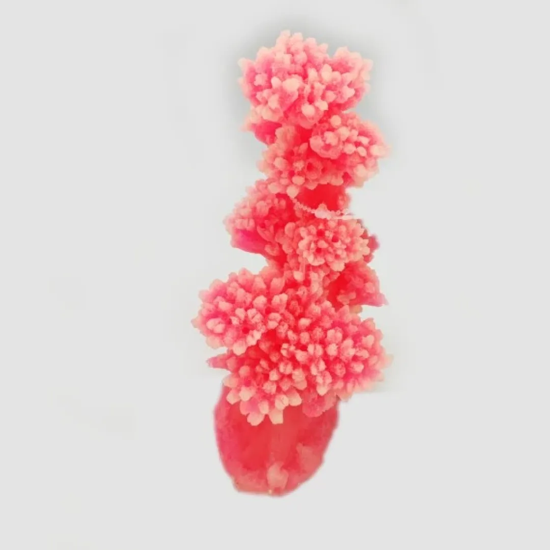 Discount Kunstig koral Dendronephtya Pink eller Gul 13x11x18 cm Dekoration Til Saltvand