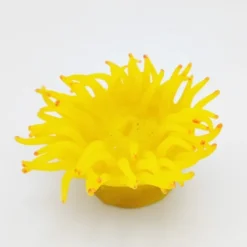 Discount Kunstig koral Heteractis crispa M (Yellow) Dekoration Til Saltvand