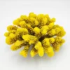 New Kunstig koral Pocillopora verrucosa L (Yellow) Dekoration Til Saltvand