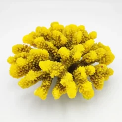 New Kunstig koral Pocillopora verrucosa L (Yellow) Dekoration Til Saltvand