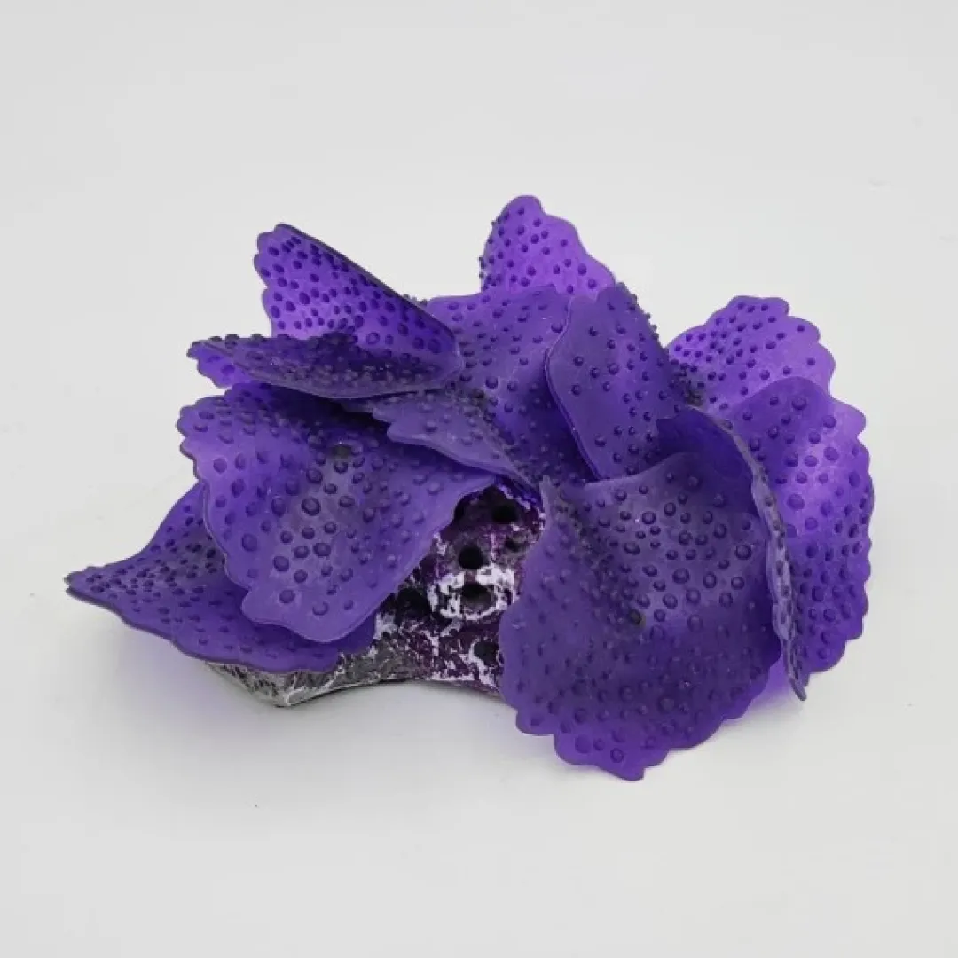 Online Kunstig koral Ulva lactuca (Purple) 12x9x4 cm Dekoration Til Saltvand