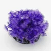 Best Kunstig koral Xenia (Purple) Dekoration Til Saltvand