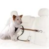 Auto Zip Line Transport Og Adgang Til Hvalpe - Tryg Og Nem Hverdag|Transport Og Adgang For Hunde - Tryg Og Nem Hverdag