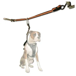 Auto Zip Line Transport Og Adgang Til Hvalpe - Tryg Og Nem Hverdag|Transport Og Adgang For Hunde - Tryg Og Nem Hverdag