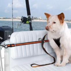 Auto Zip Line Transport Og Adgang Til Hvalpe - Tryg Og Nem Hverdag|Transport Og Adgang For Hunde - Tryg Og Nem Hverdag