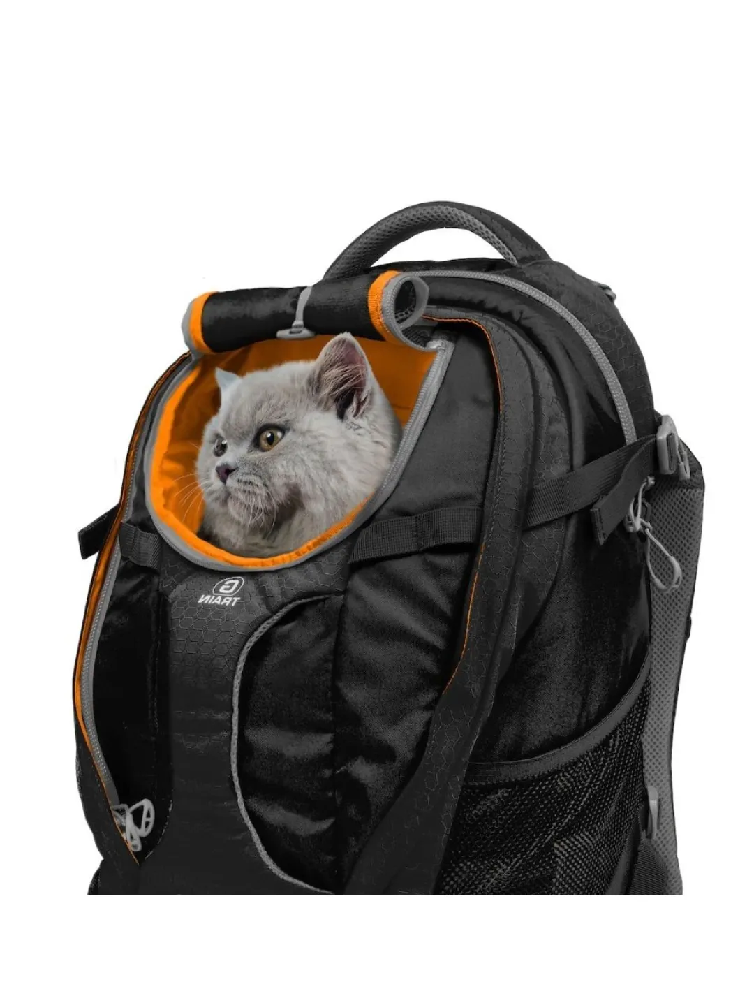 Discount G-Train K9 Rygsæk til hunde og katte - Sort Transport Og Adgang For Hunde - Tryg Og Nem Hverdag