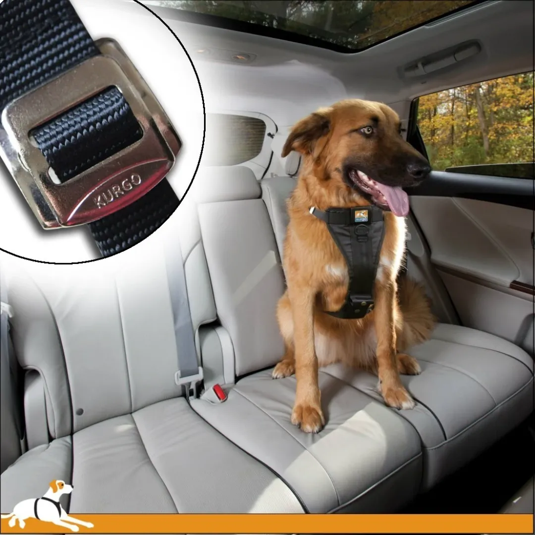 Clearance TRU-FIT Smart Sikkerhedssele XS Transport Og Adgang Til Hvalpe - Tryg Og Nem Hverdag|Transport Og Adgang For Hunde - Tryg Og Nem Hverdag