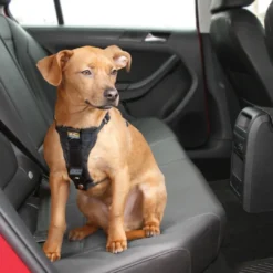 Online TRU-FIT Smart Sikkerhedssele Small Transport Og Adgang Til Hvalpe - Tryg Og Nem Hverdag|Transport Og Adgang For Hunde - Tryg Og Nem Hverdag