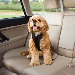 Online TRU-FIT Smart Sikkerhedssele Small Transport Og Adgang Til Hvalpe - Tryg Og Nem Hverdag|Transport Og Adgang For Hunde - Tryg Og Nem Hverdag