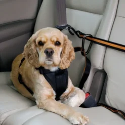 Best TRU-FIT Smart Sikkerhedssele Medium Transport Og Adgang Til Hvalpe - Tryg Og Nem Hverdag|Transport Og Adgang For Hunde - Tryg Og Nem Hverdag