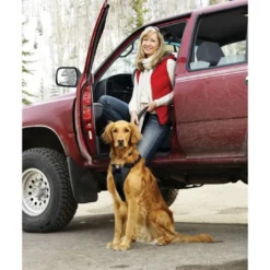 Best TRU-FIT Smart Sikkerhedssele Medium Transport Og Adgang Til Hvalpe - Tryg Og Nem Hverdag|Transport Og Adgang For Hunde - Tryg Og Nem Hverdag