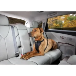 Best TRU-FIT Smart Sikkerhedssele Medium Transport Og Adgang Til Hvalpe - Tryg Og Nem Hverdag|Transport Og Adgang For Hunde - Tryg Og Nem Hverdag