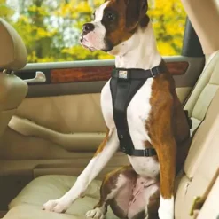 Best TRU-FIT Smart Sikkerhedssele Medium Transport Og Adgang Til Hvalpe - Tryg Og Nem Hverdag|Transport Og Adgang For Hunde - Tryg Og Nem Hverdag