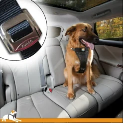 Discount TRU-FIT Smart Sikkerhedssele XL Transport Og Adgang Til Hvalpe - Tryg Og Nem Hverdag|Transport Og Adgang For Hunde - Tryg Og Nem Hverdag