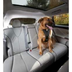 Discount TRU-FIT Smart Sikkerhedssele XL Transport Og Adgang Til Hvalpe - Tryg Og Nem Hverdag|Transport Og Adgang For Hunde - Tryg Og Nem Hverdag
