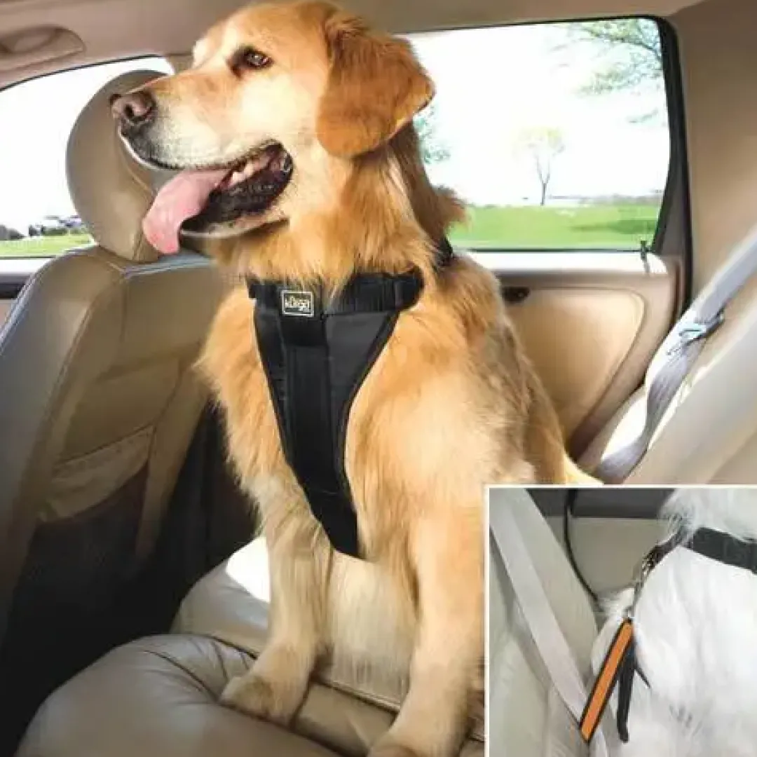 Discount TRU-FIT Smart Sikkerhedssele XL Transport Og Adgang Til Hvalpe - Tryg Og Nem Hverdag|Transport Og Adgang For Hunde - Tryg Og Nem Hverdag