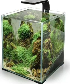 Clearance Leddy Smart Plant LED-Lampe Sort 4,8 W Akvarielamper