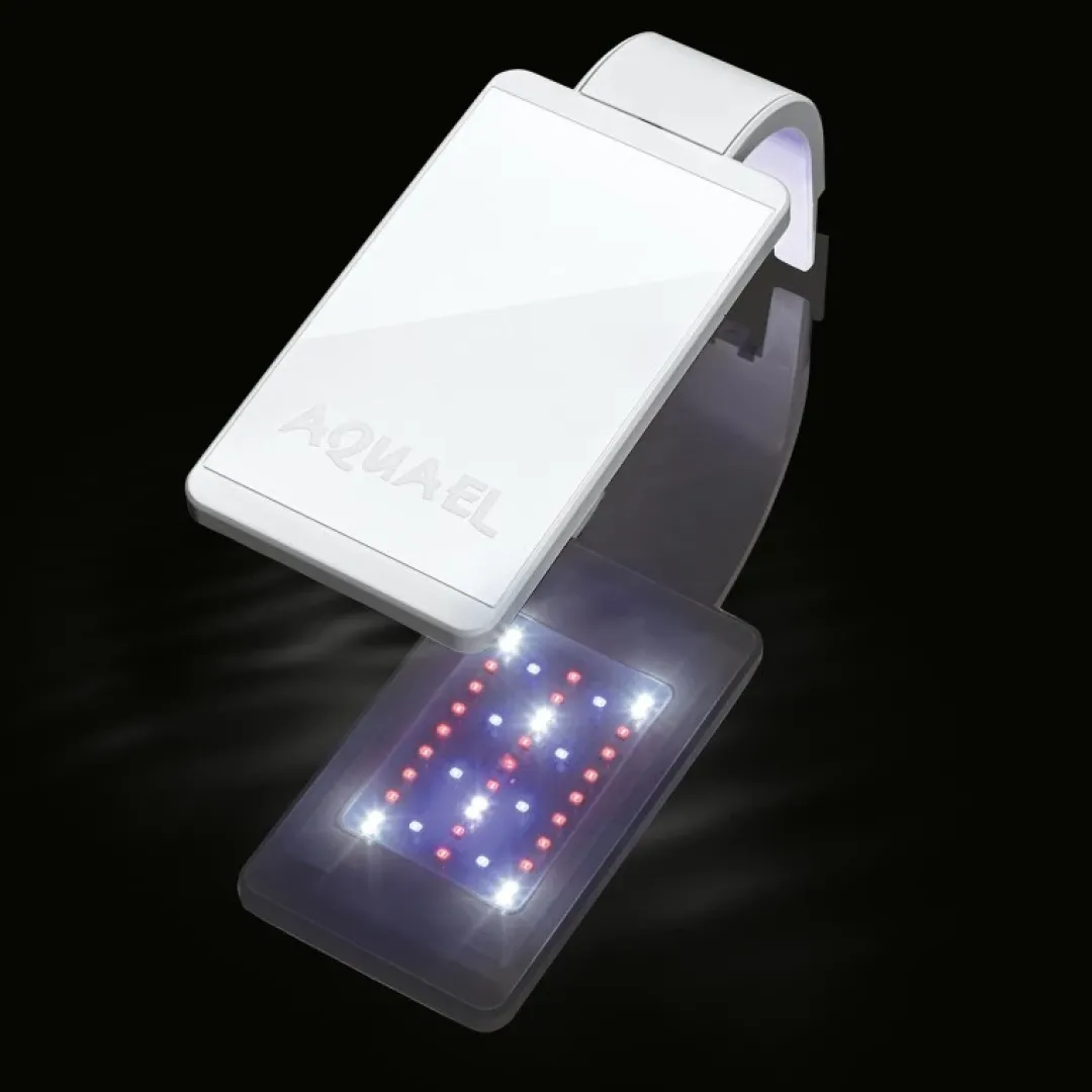 New Leddy smart Sunny D/N 4,8 w HVID Akvarielamper