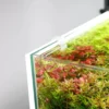 Online LED Lys Baggrund til akvariet 50x35x1 cm Akvariebaggrunde