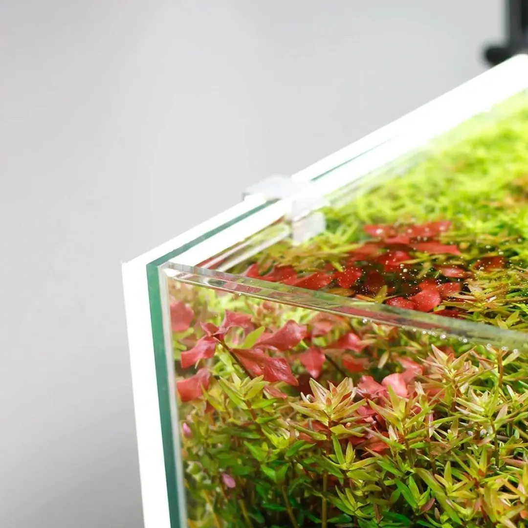Online LED Lys Baggrund til akvariet 50x35x1 cm Akvariebaggrunde
