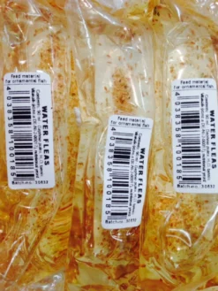 Sale Levende Dafnier 90 ml (levende foder) Fiskefoder Til Ferskvandsfisk