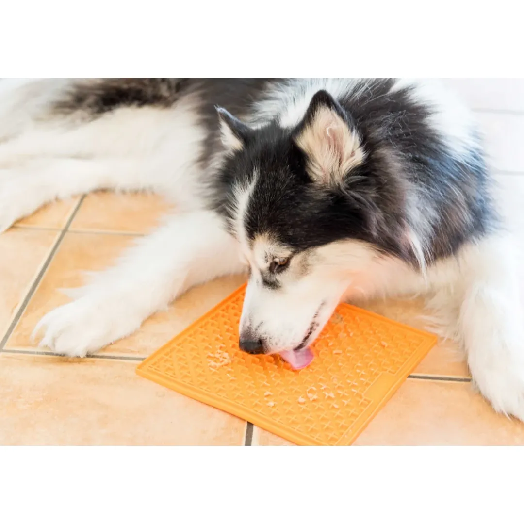 New Slikkemåtte 20 x 20 cm Orange - aktiveringsmåtte til hunde Killingelegetøj - Sjov, Træning Og Aktivering For Killinger|Hundelegetøj Til Alle Hunde Leg Og Aktivering Året Rundt