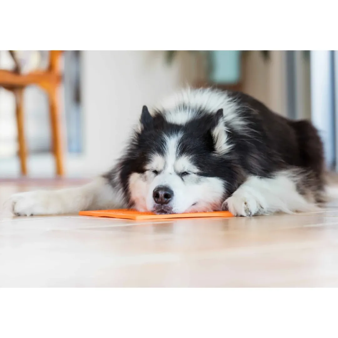 New Slikkemåtte 20 x 20 cm Orange - aktiveringsmåtte til hunde Killingelegetøj - Sjov, Træning Og Aktivering For Killinger|Hundelegetøj Til Alle Hunde Leg Og Aktivering Året Rundt