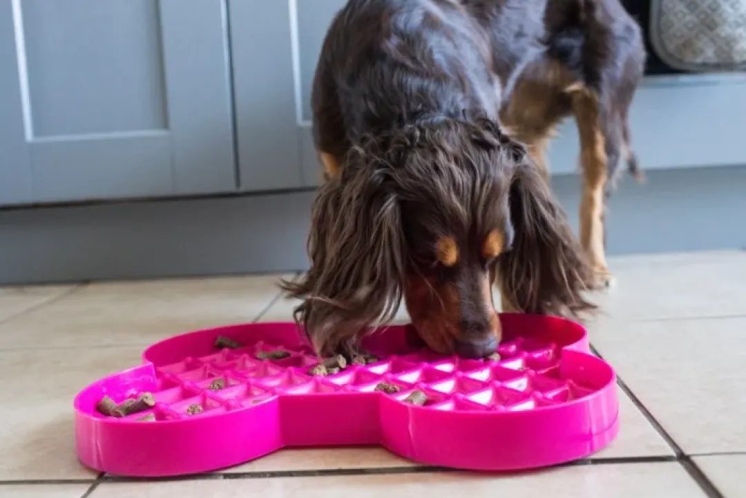 Slowfeeder Slikkeplade 32 cm - slowfeeder plade til hunde Killingelegetøj - Sjov, Træning Og Aktivering For Killinger|Hundelegetøj Til Alle Hunde Leg Og Aktivering Året Rundt