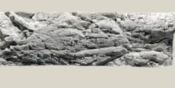 Clearance Malawi Baggrund Hvid Kalksten 200 x 60 cm Akvariebaggrunde