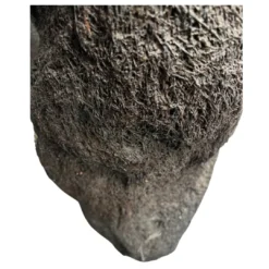 Discount .dk Xaxim Træstamme Ø 30-40 cm XXL ca 1 meter Terrarieplanter|Dekoration Til Terrarier