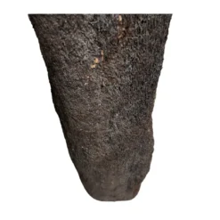 Discount .dk Xaxim Træstamme Ø 30-40 cm XXL ca 1 meter Terrarieplanter|Dekoration Til Terrarier