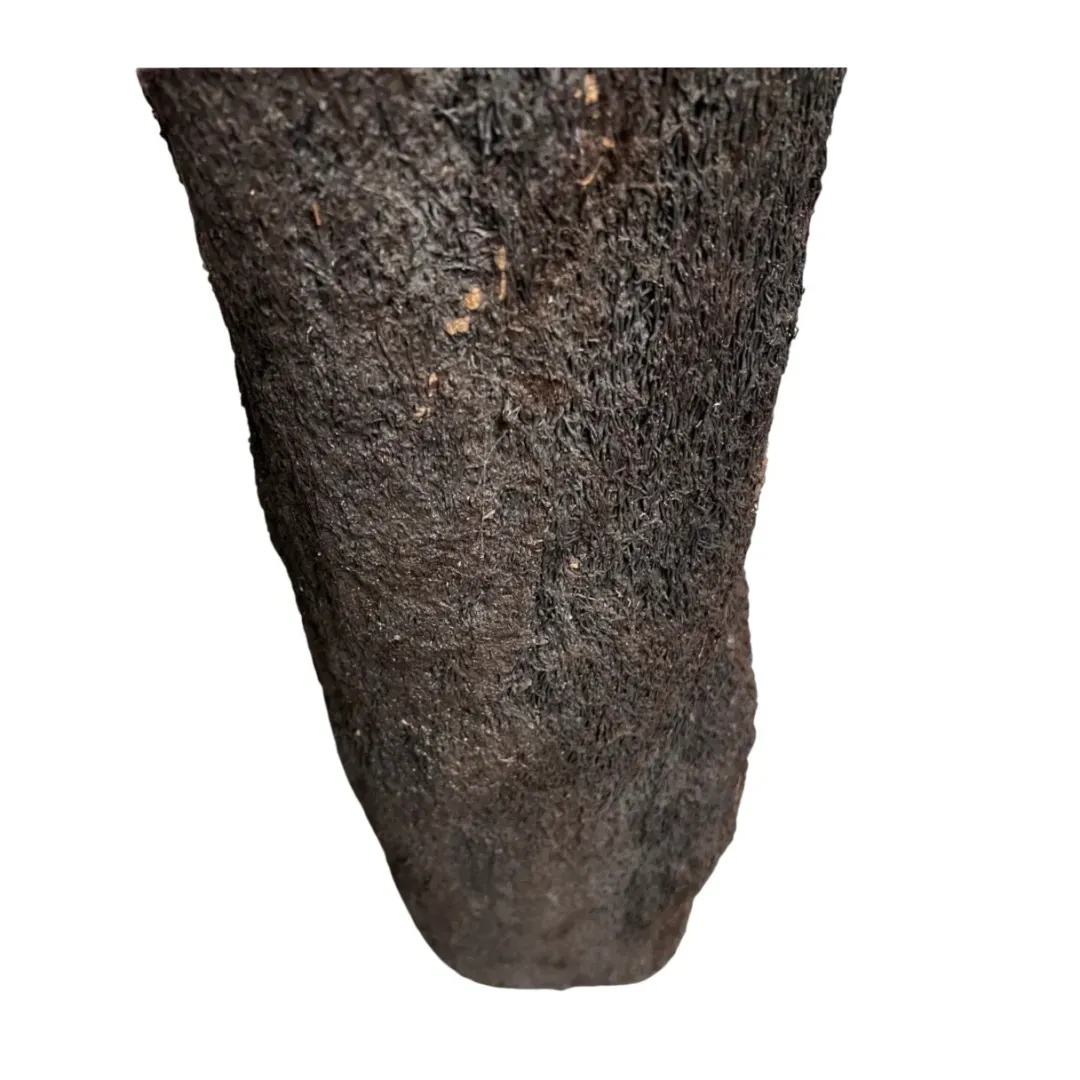 Discount .dk Xaxim Træstamme Ø 30-40 cm XXL ca 1 meter Terrarieplanter|Dekoration Til Terrarier