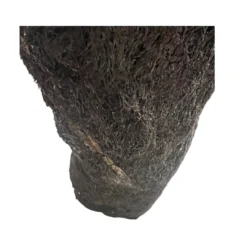 Discount .dk Xaxim Træstamme Ø 30-40 cm XXL ca 1 meter Terrarieplanter|Dekoration Til Terrarier