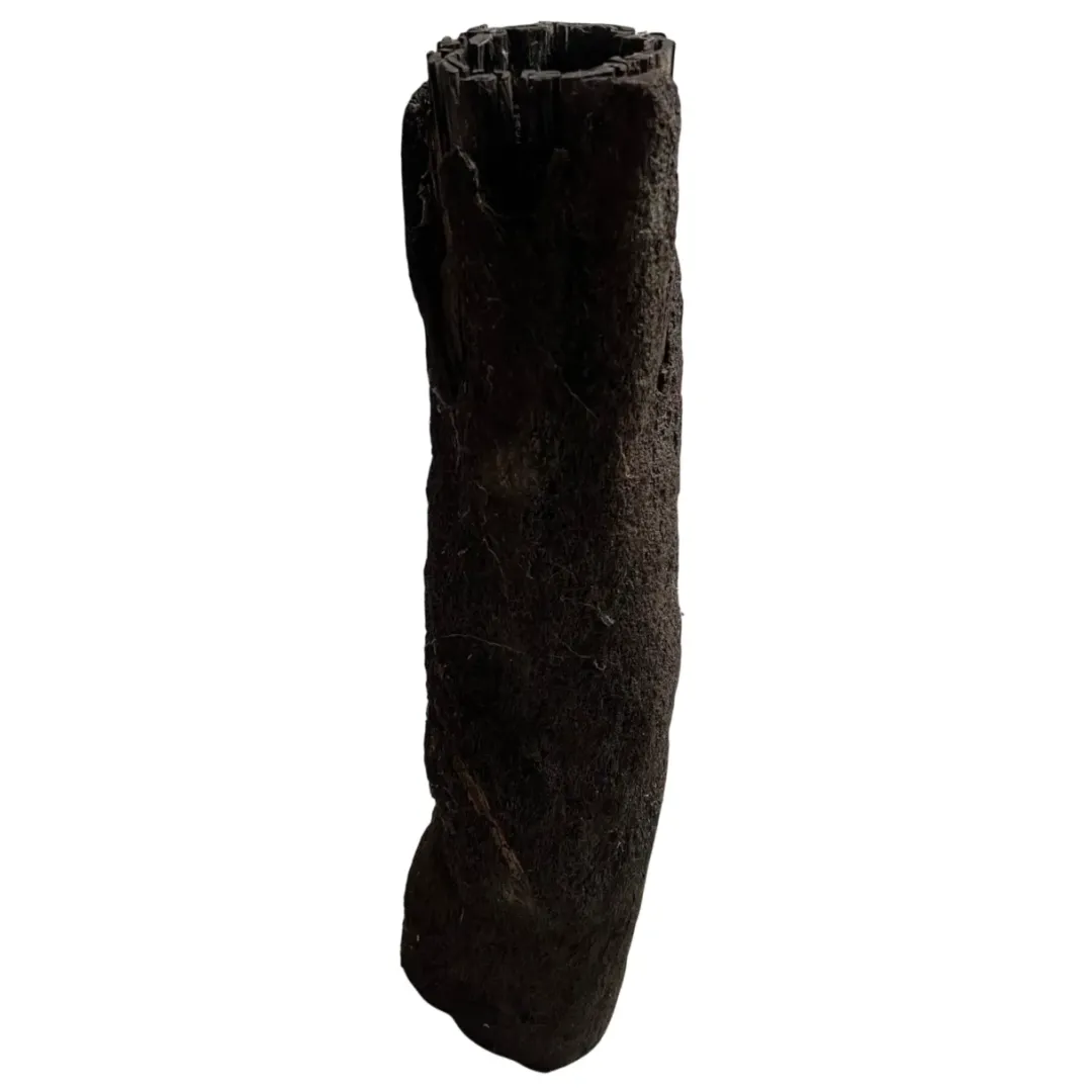 Discount .dk Xaxim Træstamme Ø 30-40 cm XXL ca 1 meter Terrarieplanter|Dekoration Til Terrarier