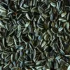 Discount Solsikkefrø 1 kg (dobbelt renset) Fuglefoder