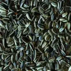 Discount Solsikkefrø 1 kg (dobbelt renset) Fuglefoder