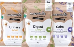 Best Moments Cat Urinary snack 70 g Kattefoder & Snacks|Killingesnacks - Sunde Godbidder Til Killinger