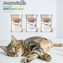 Best Moments Cat Urinary snack 70 g Kattefoder & Snacks|Killingesnacks - Sunde Godbidder Til Killinger